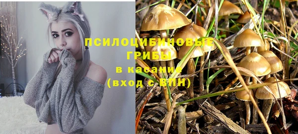герыч Зеленокумск