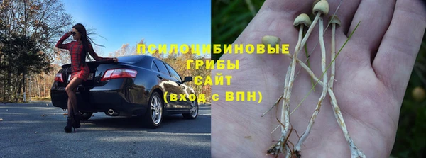 герыч Зеленокумск