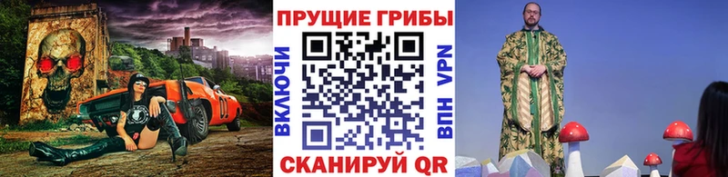 Галлюциногенные грибы MAGIC MUSHROOMS  Карачаевск 