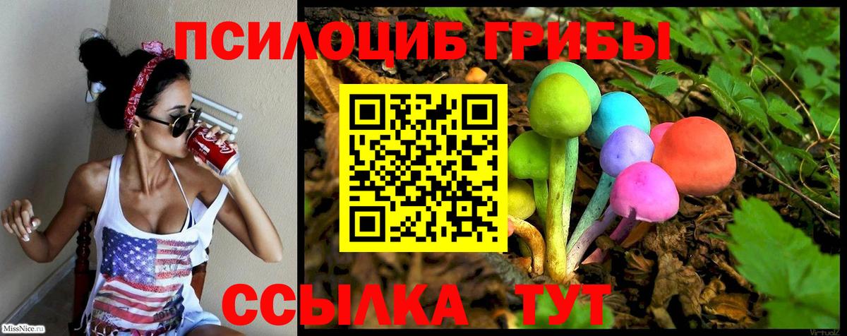 Галлюциногенные грибы ЛСД  Вход с VPN  Галлюциногенные грибы Psilocybe  Карачаевск 