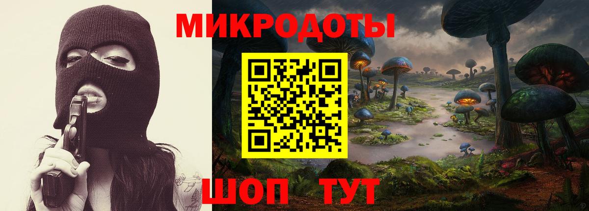 Галлюциногенные грибы Psilocybine cubensis Карачаевск